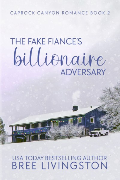 The Fake Fiance's Billionaire Adversary
