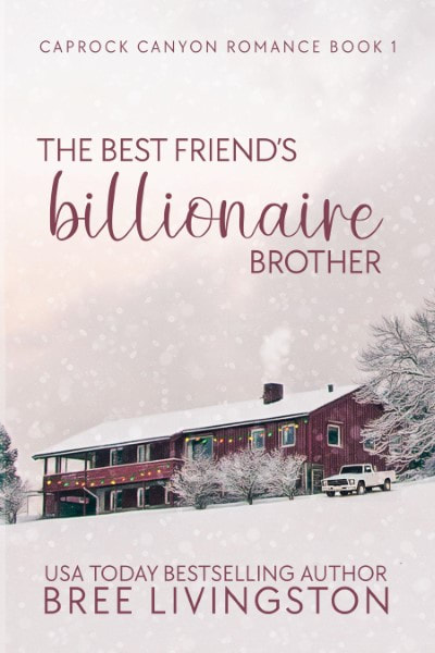The Best Friend's Billionaire Brother